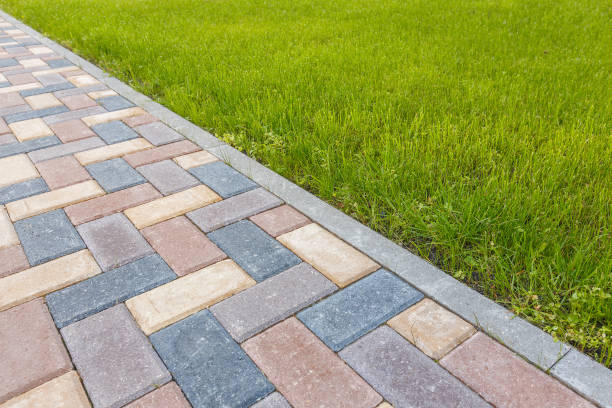 Best Local Driveway Pavers  in USA